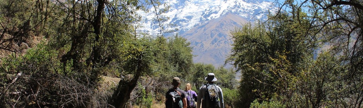 Lares Machupicchu